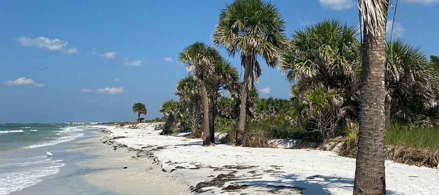 Best Beaches in Tampa for Families Caladesi Island State Park