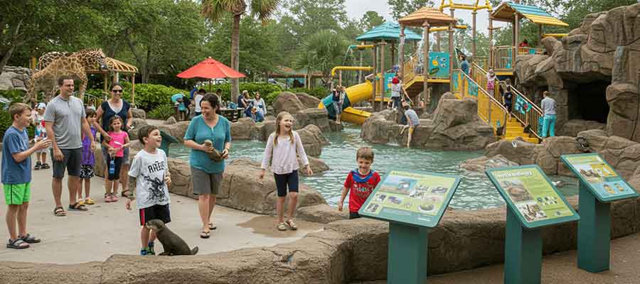 Best Things to Do in Tampa Bay