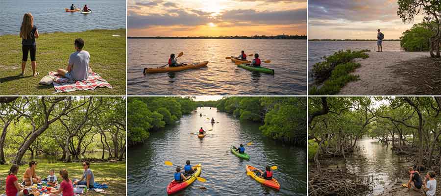 Best Things to Do in Tampa Bay