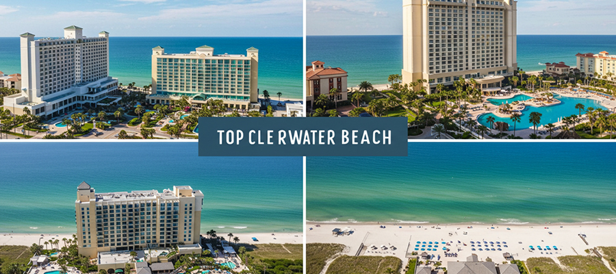 Top 5 Hotels in Clearwater Beach